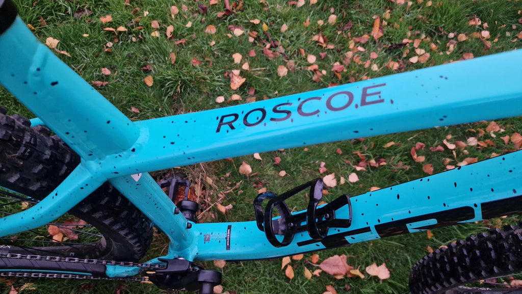 Trek roscoe 2024 XL