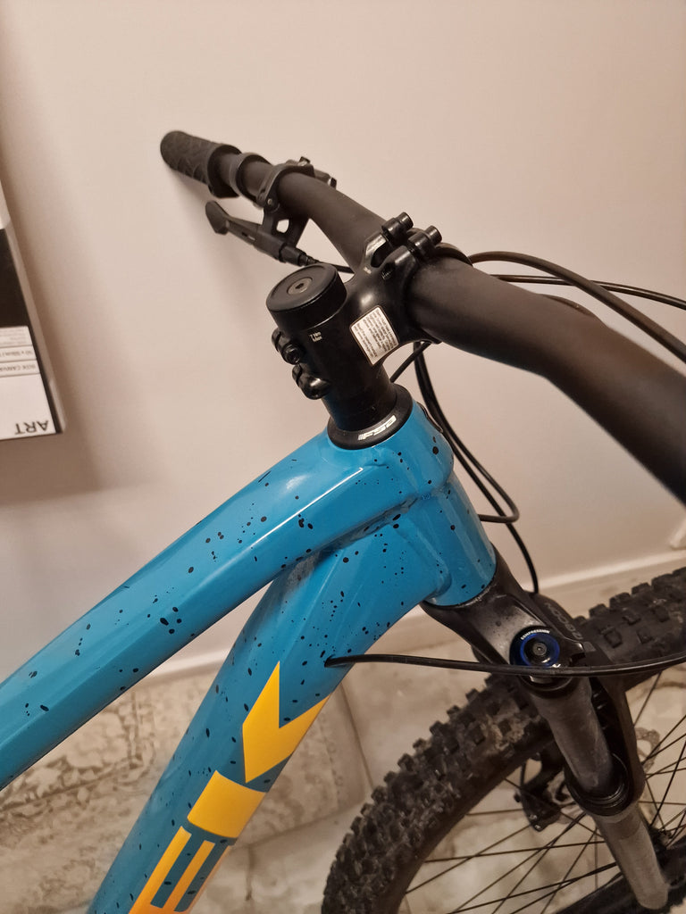 Trek Roscoe dotted