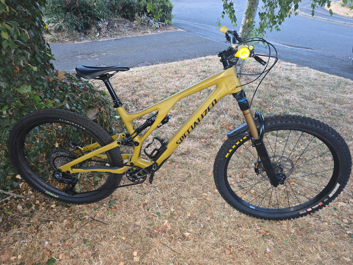 Specialized stumpjumper carbon 2024