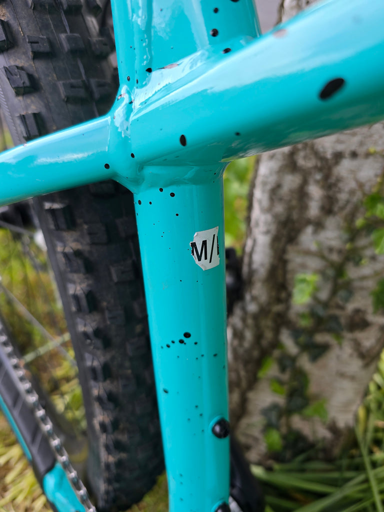 Trek roscoe 8 custom