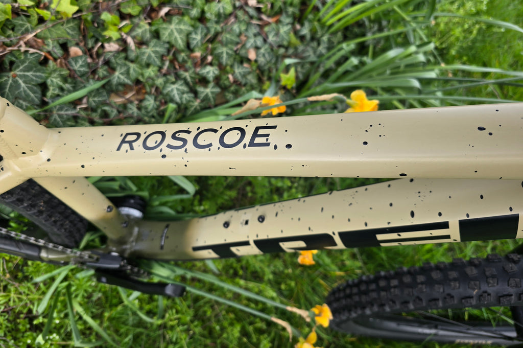 Trek roscoe 9