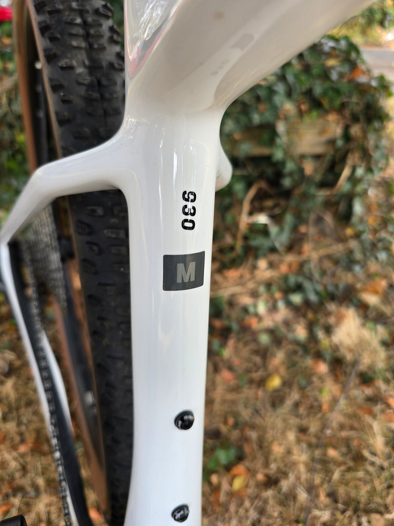 Scott scale 920 carbon 2024