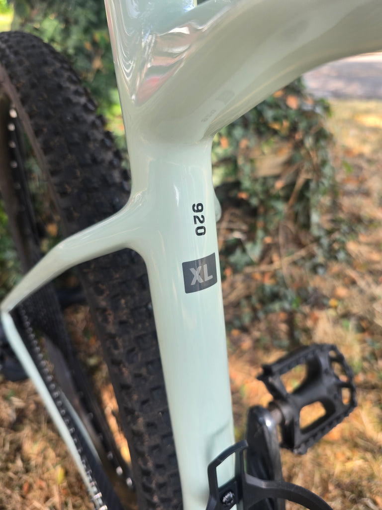 Scott scale carbon 920