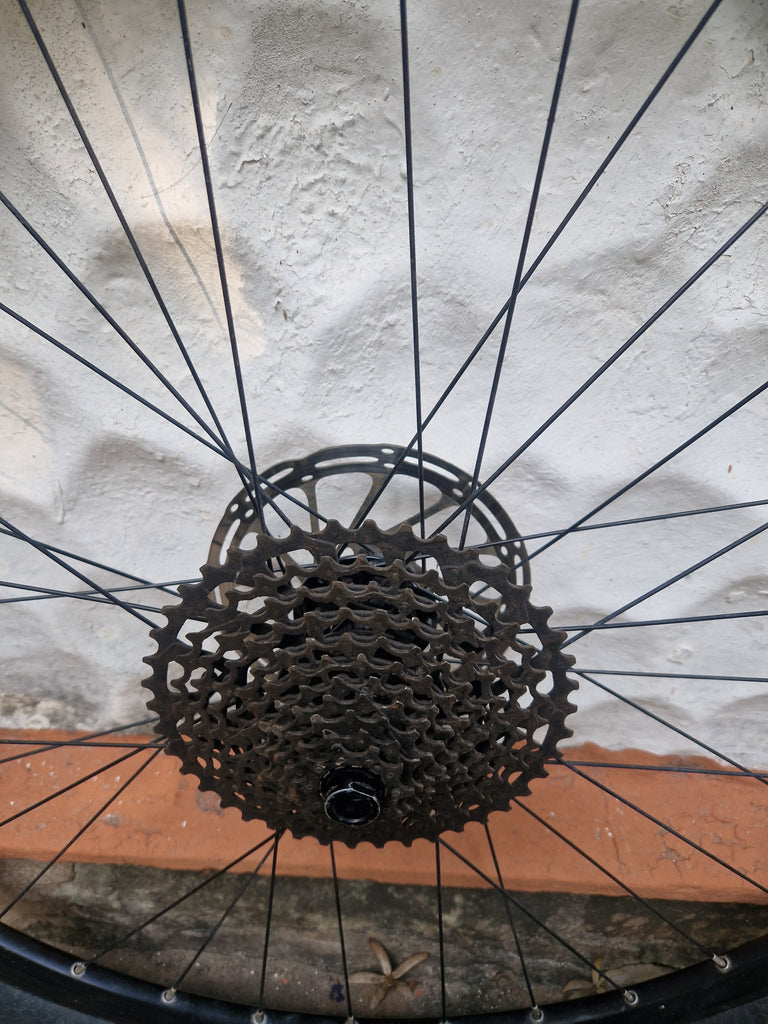 MAVIC XM319 29er wheels