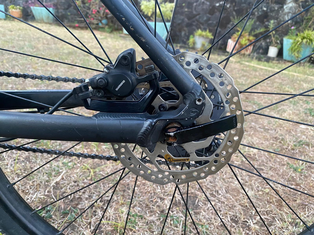 cannondale lefty bad boy 2