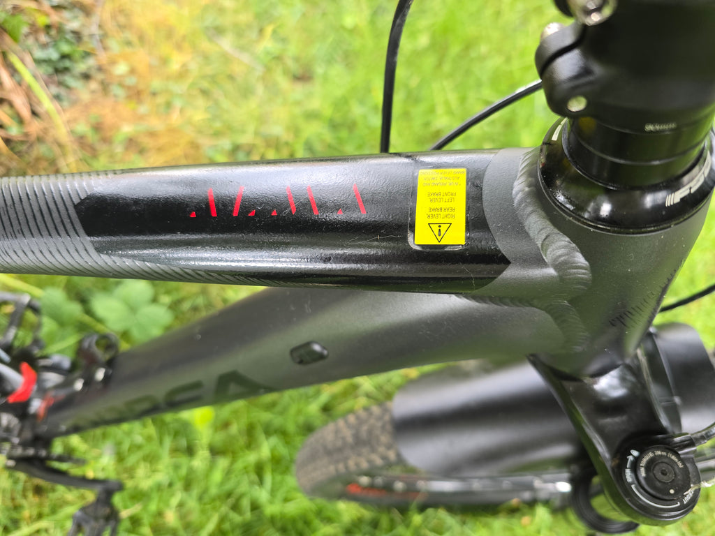 Orbea alma 29er alu