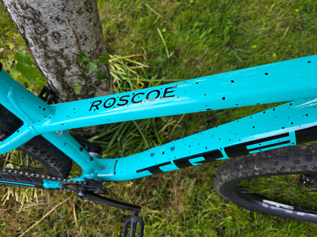 Trek roscoe 8 custom