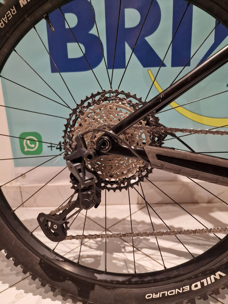 Trek roscoe 2024 L