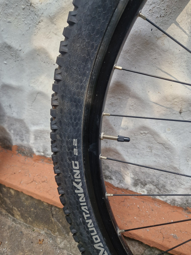MAVIC XM319 29er wheels