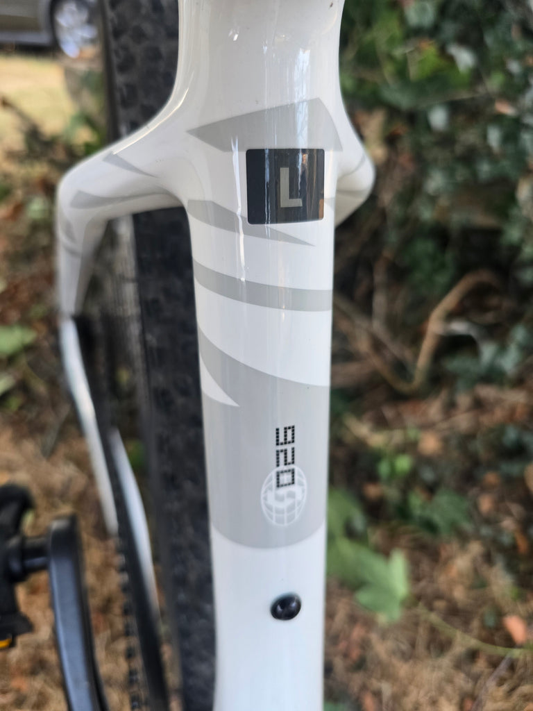 Scott scale 920 carbon 2026