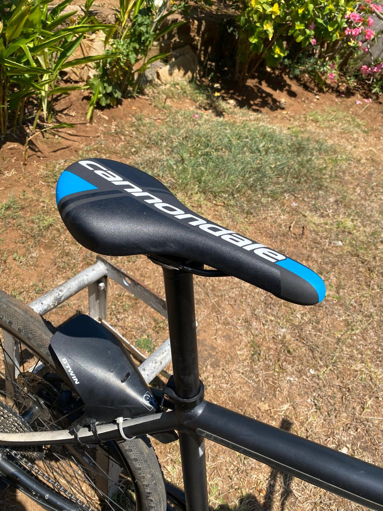 cannondale lefty bad boy 2