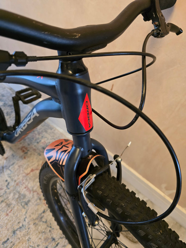Orbea MX 24 kids bike