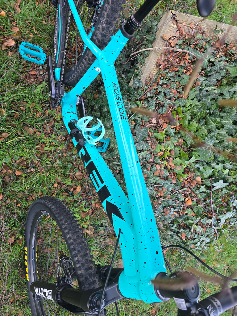 Trek roscoe 8 custom 2024