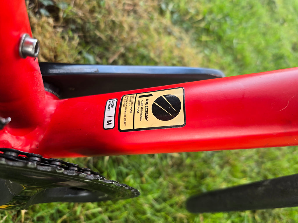 Canyon endurance AL