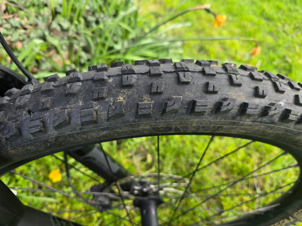 Trek roscoe 9
