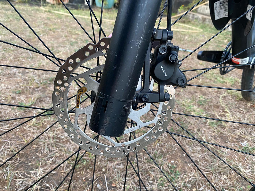 cannondale lefty bad boy 2