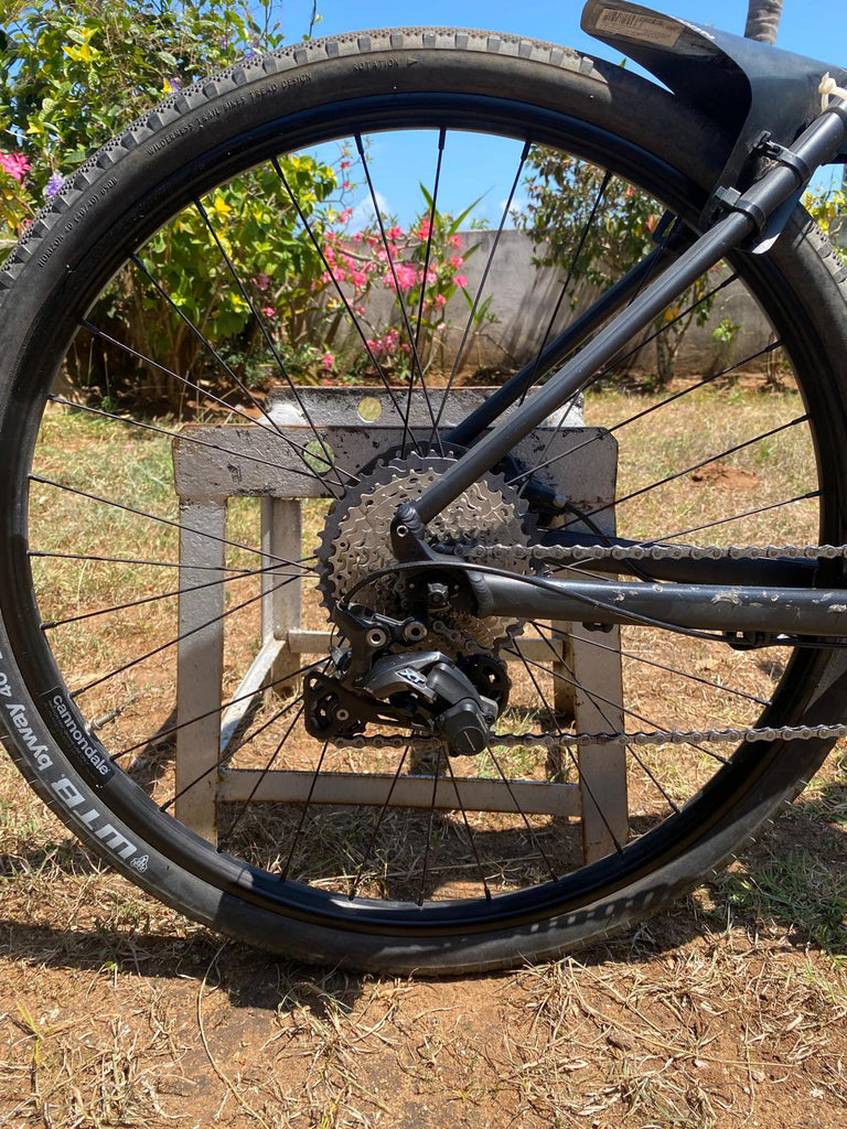 cannondale lefty bad boy 2