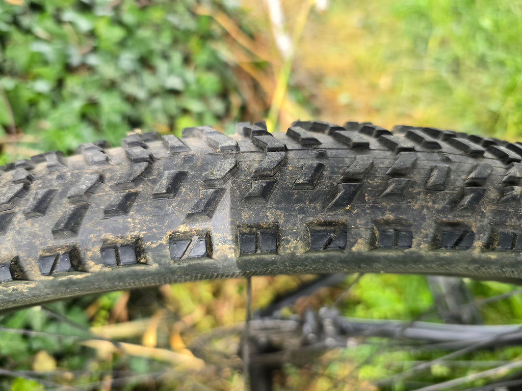 Orbea alma 29er alu