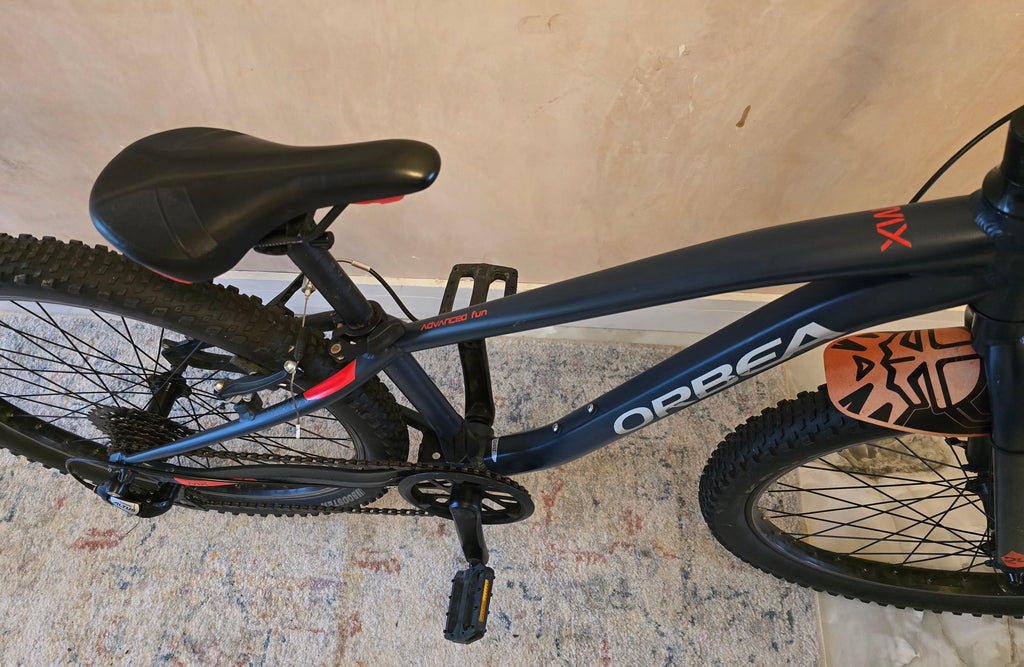 Orbea MX 24 kids bike