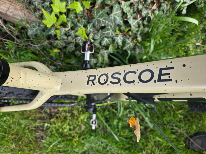Trek roscoe 9