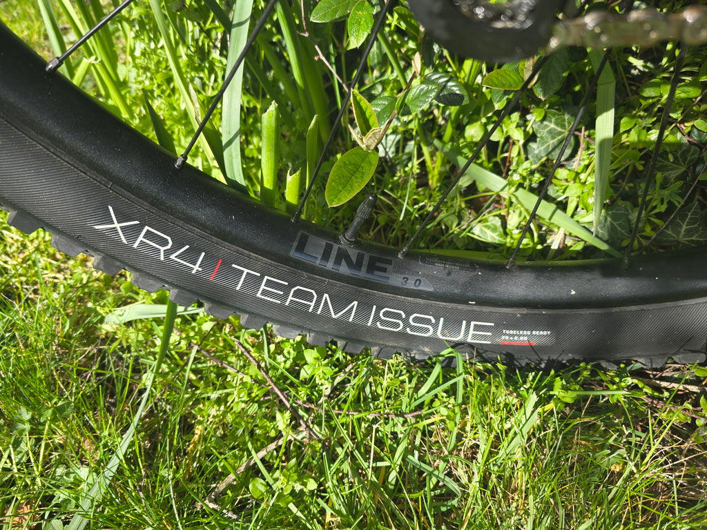 Trek roscoe 7 2025