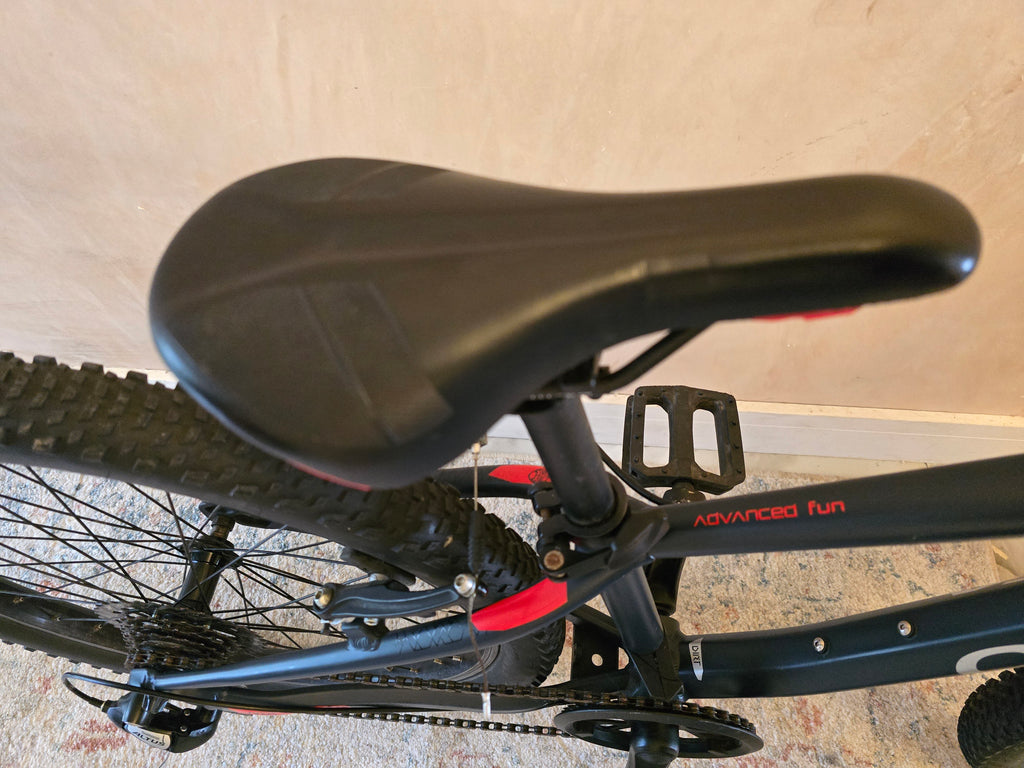 Orbea MX 24 kids bike