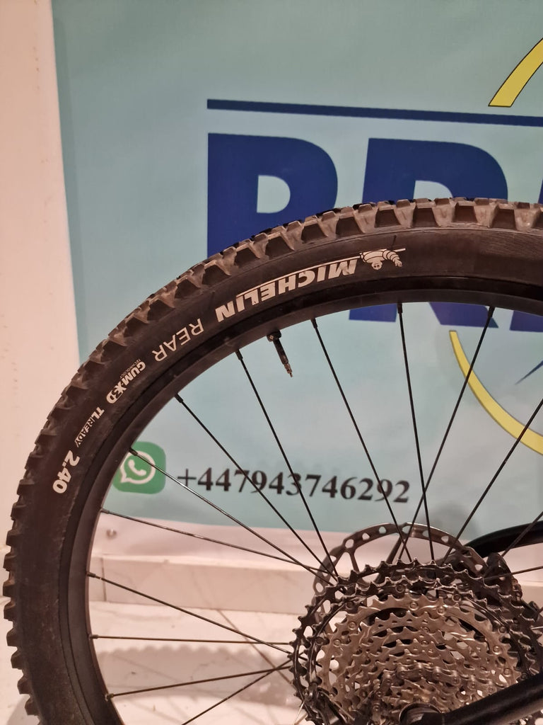 Trek roscoe 2024 L