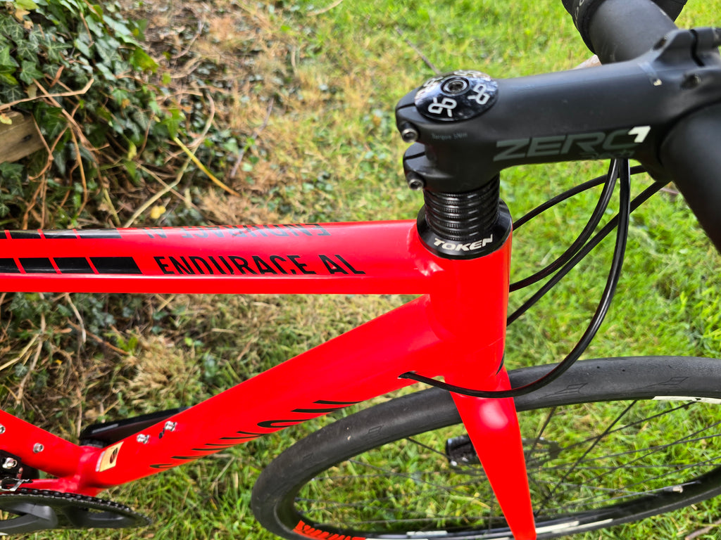 Canyon endurance AL