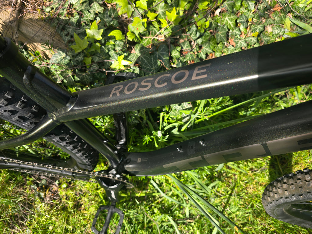 Trek roscoe 7 2025