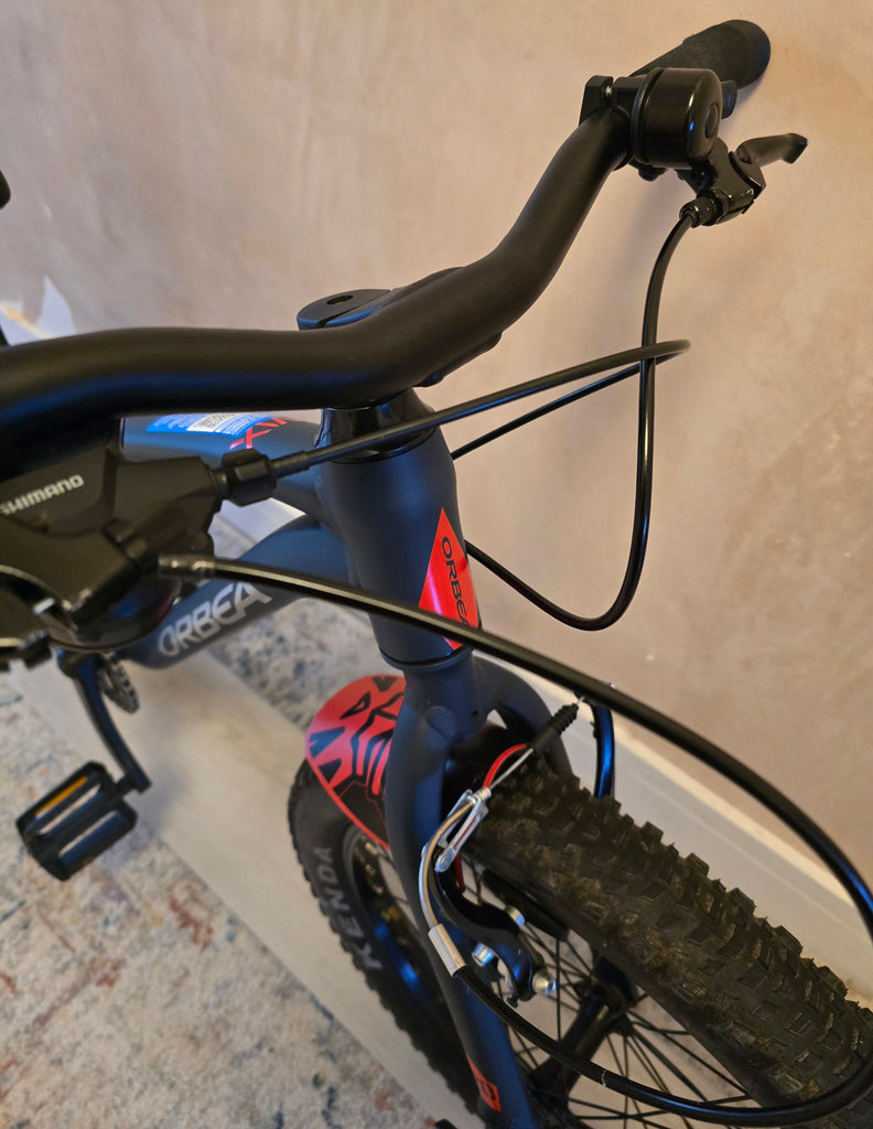 Orbea MX20