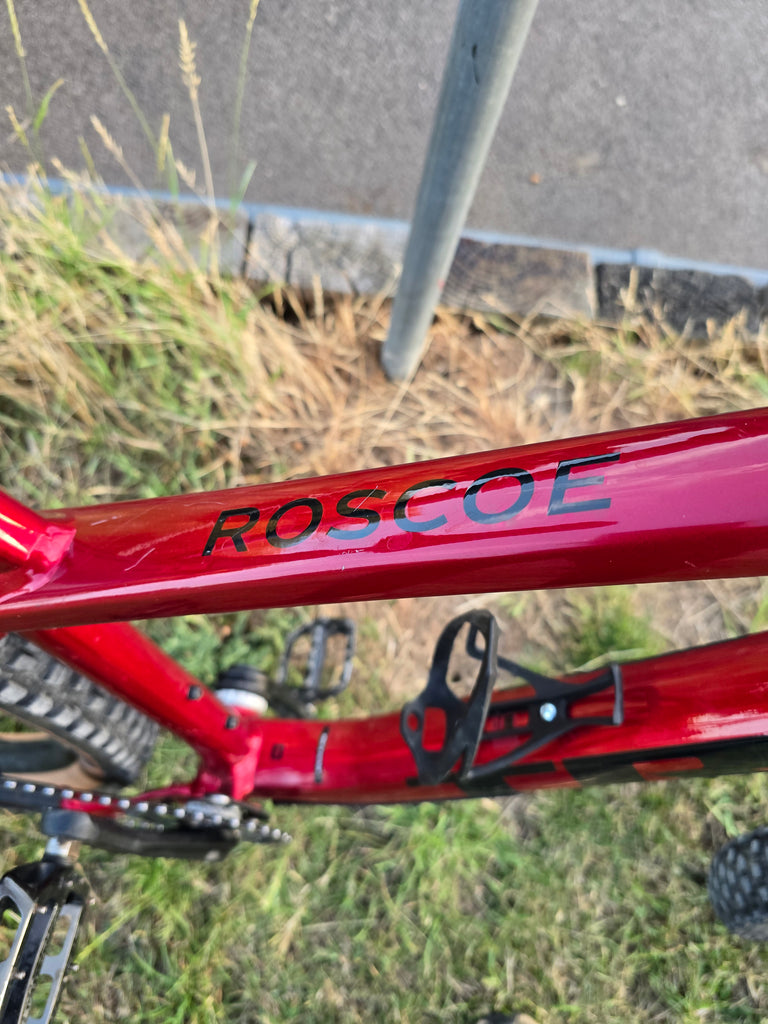 Trek roscoe 9 2023/24 L