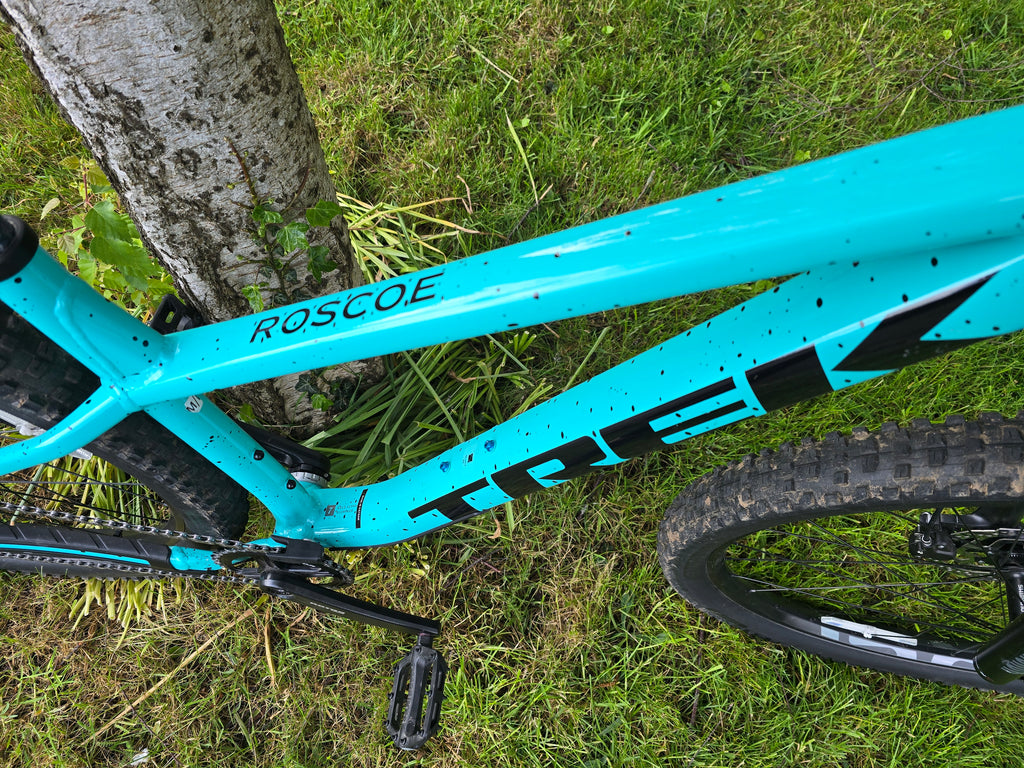 Trek roscoe 8 custom