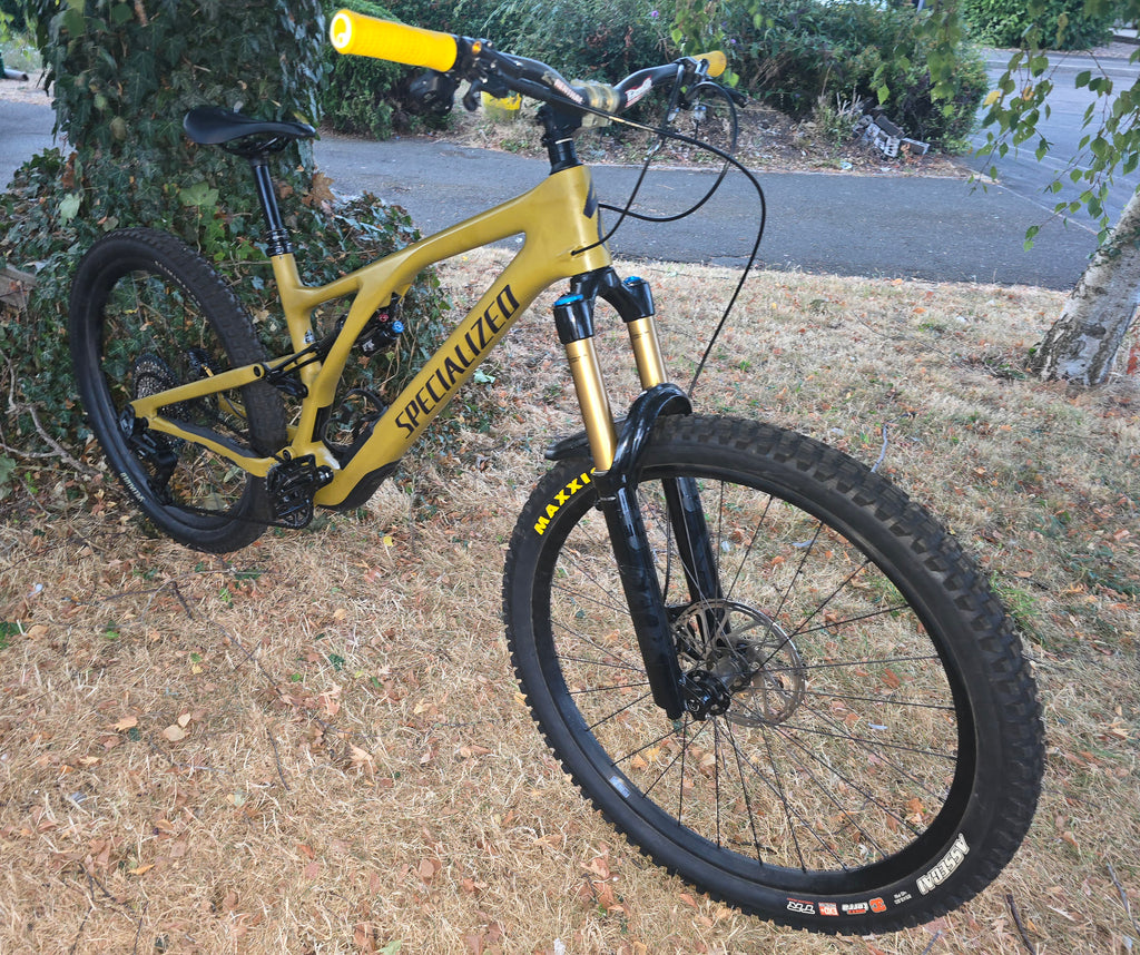 Specialized stumpjumper carbon 2024