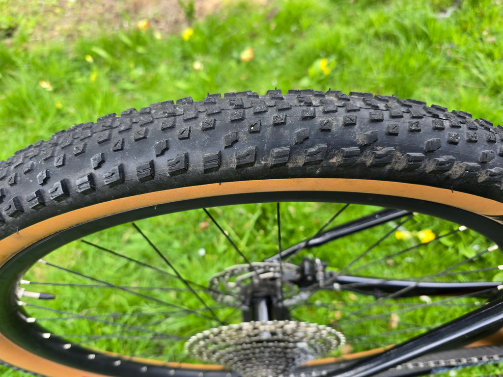 Scott scale 965 2024 L