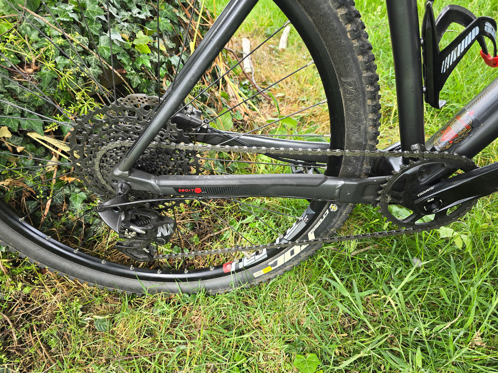 Orbea alma 29er alu