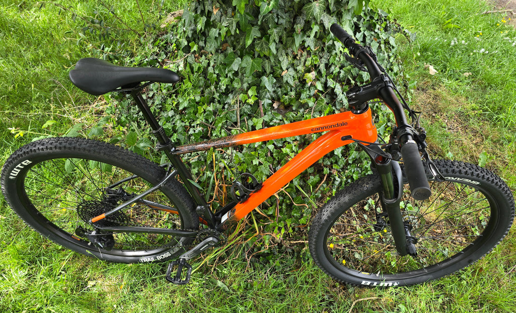 Cannondale SE3 trail mtb