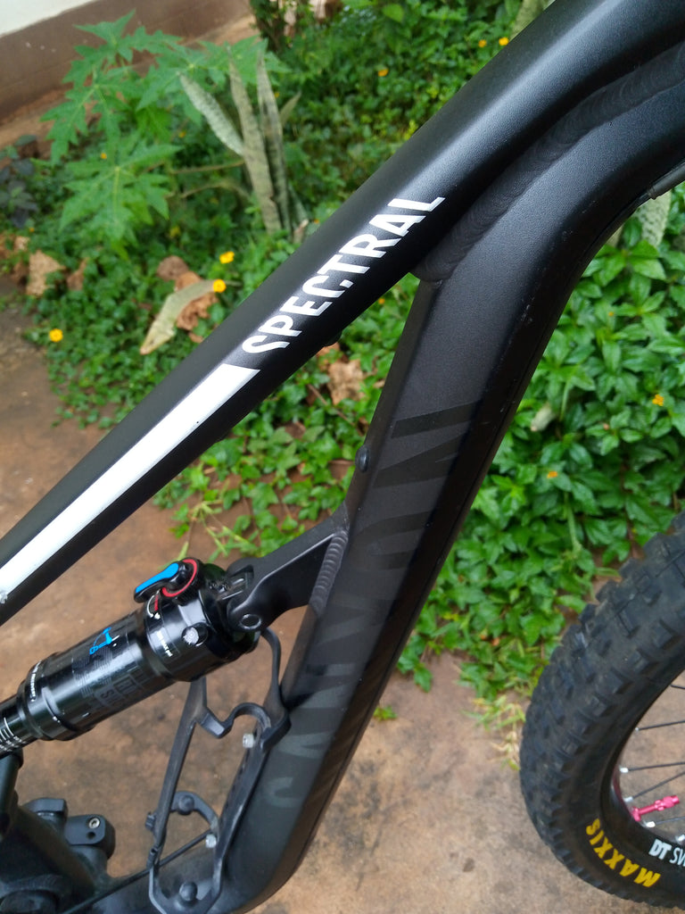 Canyon spectral double suspension